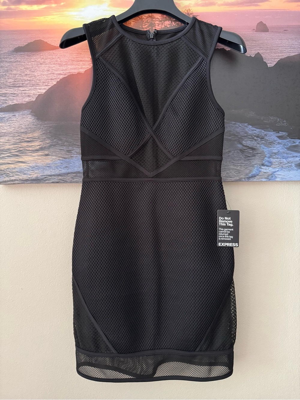 Express Black Sleeveless Mesh Bodycon Dress/ S/ NWT